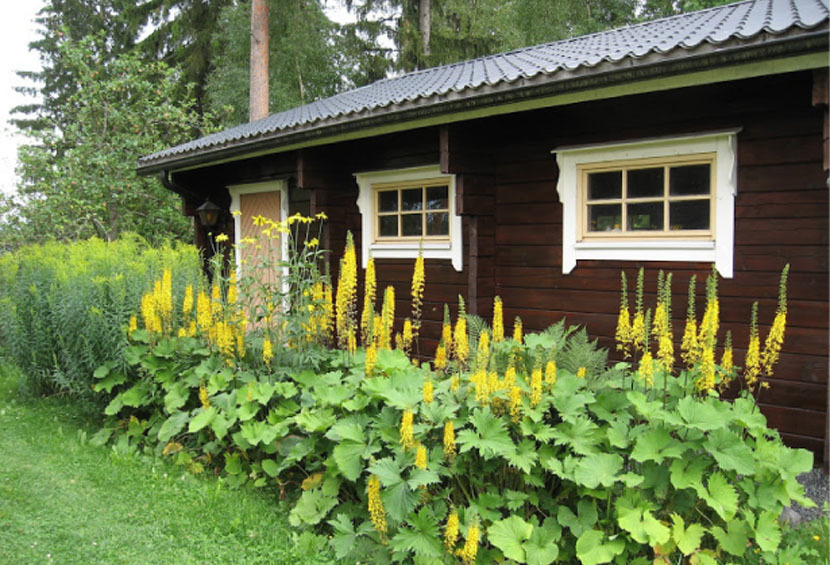 Stable sauna Cottage